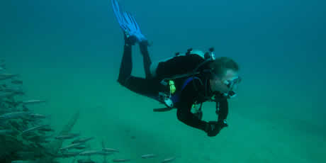 Diving in Daphne Minor & Mosquera