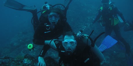 Diving in Gordon Rocks